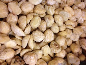 معرفی و راهنمای پرورش درختان میوه - آجیل شمع / کَندِل نات